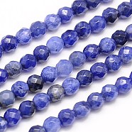 Natural Sodalite Beads Strands, Faceted, Round, Blue, 4mm, Hole: 1mm, about 95pcs/strand, 15.35 inch(X-G-G545-16)