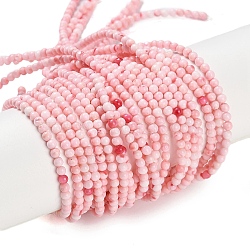 Natural Freshwater Shell Beads Strands, Dyed, Round, Pink, 3mm, Hole: 0.5mm, about 130pcs/strand, 15.04''(38.2cm)(BSHE-H109-14)