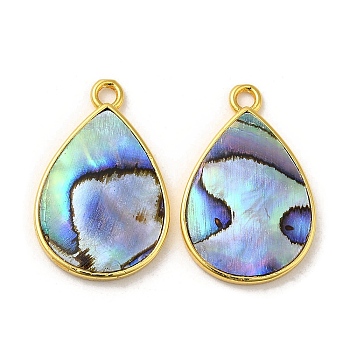 Natural Paua Shell Pendants, Teardrop Charms with Brass Findings, Golden, 23.5x15x2mm, Hole: 2mm