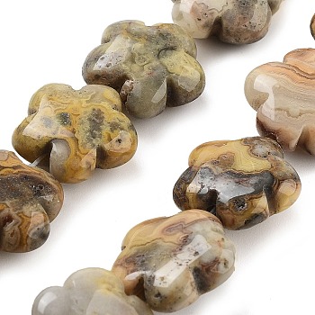 Natural Crazy Agate Beads Strands, Flower, 16x16x6mm, Hole: 1.4mm, about 25pcs/strand, 14.57~14.96 inch(37~38cm)