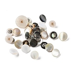 1-Hole Natural Shell Shank Buttons, Flat Round, Mixed Color, 11~17.5x6~7.5mm, Hole: 2.5mm(BUTT-XCP0001-15)