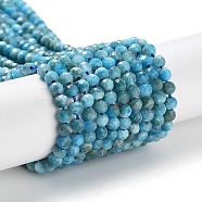 Natural Apatite Beads Strands, Faceted, Round, 3.5mm, Hole: 0.8mm, about 130pcs/strand, 15.35 inch(39cm)(G-J400-E01-01)