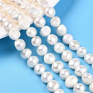 Natural Cultured Freshwater Pearl Beads Strands, Two Sides Polished, Creamy White, 6.5~10x7~10x5~9mm, Hole: 0.6mm, about 41~42pcs/strand, 13.78~14.17''(35~36cm)(PEAR-N014-08E-01A)