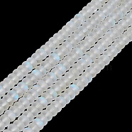 Frosted Transparent Glass Beads Strands, Rondelle, WhiteSmoke, 8x5mm, Hole: 1mm, about 75pcs/strand, 14.96''(38cm)(FGLA-M002-01I)