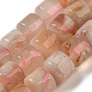 Natural Cherry Blossom Agate Beads Strands, Column, 8x8mm, Hole: 1mm, about 48pcs/strand, 14.96''(38cm)(G-M420-L01-04)
