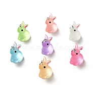 Luminous Translucent Resin Pendants, Rabbit Charm, with Platinum Tone Iron Loops, Mixed Color, 24x14.5x19.5mm, Hole: 2.5mm(RESI-A017-04)