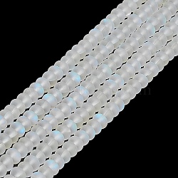Frosted Transparent Glass Beads Strands, Rondelle, WhiteSmoke, 8x5mm, Hole: 1mm, about 75pcs/strand, 14.96''(38cm)(FGLA-M002-01I)