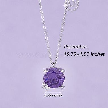 925 Sterling Silver Zircon Pendant Necklace 12 Constellation Pendant Necklace Jewelry Anniversary Birthday Gifts for Women Men(JN1088H)-2