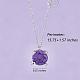925 Sterling Silver Zircon Pendant Necklace 12 Constellation Pendant Necklace Jewelry Anniversary Birthday Gifts for Women Men(JN1088H)-2