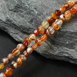 Gemstone Strands, Carnelian ,The beads about 3~5mm, hole: 0.8mm, 15.5 inch, 82pcs/strand(G365-5)