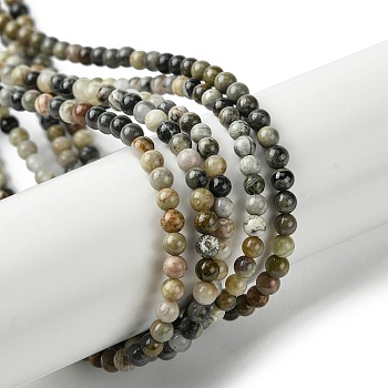 Natural Silver Leaf Jasper Beads Strands, Round, 3mm, Hole: 0.5mm, about 127pcs/strand, 15.75''(40cm)