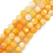 Natural Golden Yellow Shell Beads Strands, Round, 9mm, Hole: 0.9mm, about 45pcs/strand, 15.43 inch(39.2cm)(SSHEL-G024-01D)