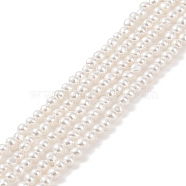 Electroplated Shell Pearl Beads Strands, Potato, Antique White, 3.5x3~3.5mm, Hole: 1mm, about 127pcs/strand, 16.14 inch(41cm)(BSHE-C006-05B)