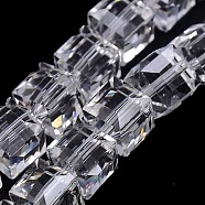 Faceted Cube Shaped Crystal Glass Beads Strands, Clear, 10x10x10mm, Hole: 1mm, about 79pcs/strand, 30.7 inch(GLAA-F008-F01)