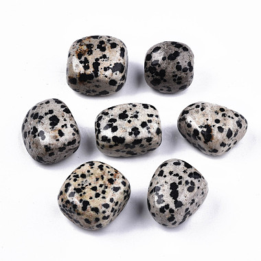 Natural Dalmatian Jasper Beads(G-N332-012)-2