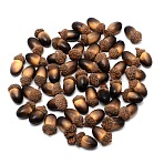 Acorn Foam Display, with Plant Leaf, for Home Display Decorations, Coconut Brown, 25~45x15~30mm, 50pcs/bag(DJEW-WH0015-21E)