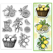 PVC Plastic Clear Stamps, for DIY Scrapbooking, Photo Album Decorative, Cards Making, Lemon, 160x110mm(DIY-WH0631-0688)