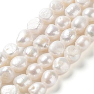 Natural Cultured Freshwater Pearl Beads Strands, Two Side Polished, Grade 4A, Seashell Color, 11~13x12~16x8~9mm, Hole: 0.6mm, about 27~28pcs/strand, 14.96''(38~39cm)(PEAR-Z002-07)