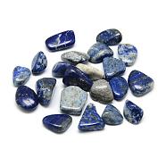 Synthetic Lapis Lazuli Beads, Tumbled Stone, No Hole/Undrilled, Dyed, Nuggets, 10~25x10~20x5~15mm, about 230pcs/1000g(G-Q947-05)