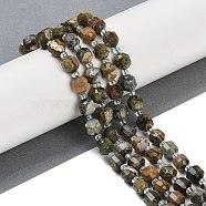 Natural Rhyolite Jasper Beads Strands, Faceted, Bicone, Double Terminated Point Prism Beads, 8x7mm, Hole: 1.2mm, about 40pcs/strand, 15.16''(38.5cm)(G-O201B-122F)