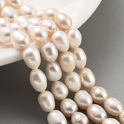 Natural Cultured Freshwater Pearl Beads Strands, Grade 3A, Oval, PeachPuff, 6.5~7mm, Hole: 0.7mm, about 22pcs/strand, 7.68''(19.5cm)(PEAR-P062-18)