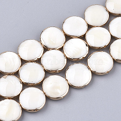 Freshwater Shell Multi-strand Links Strands, 4-Hole, Flat Round, Light Gold Plated Edge, 13x5mm, Hole: 1mm, about 15pcs/strand, 7.4 inch(X-SSHEL-T007-20B)