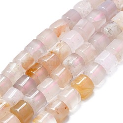 Natural Cherry Blossom Agate Beads Strands, Column, 8.5x8mm, Hole: 0.8mm, about 60pcs/strand, 15.94''(40.5cm)(G-K245-C11-07)