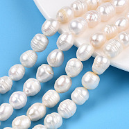 Natural Cultured Freshwater Pearl Beads Strands, Rice, Seashell Color, 8~14x8.5~10mm, Hole: 0.6mm, about 31~34pcs/strand, 13.58~14.06 inch(34.5~35.7cm)(PEAR-N012-09E)