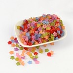Transparent Acrylic Beads, Frosted, Flower, Mixed color, about 10mm in diameter, 5mm thick, hole:1.2mm, about 188pcs/20g(Y-M-PL554)