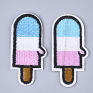 Computerized Embroidery Cloth Iron On Patches, Costume Accessories, Appliques, Ice-lolly, Colorful, 58x29x1mm(FIND-T030-167)