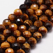 Natural Tiger Eye Beads Strands, Grade A, Faceted(64 Facets), Round Bead, 8mm, Hole: 1.2mm, 49pcs/strand, 15.7 inch(G-N0179-01-8mm)