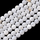 Natural Freshwater Shell Beads Strands(SH-CBA2978-07D-03)-1