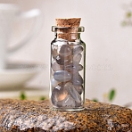 Glass Wishing Bottles, Reiki Natural Grey Agate Drift Chip Beads inside for DIY Jewelry Making Home Decoration, 22x30mm(PW-WG27717-16)