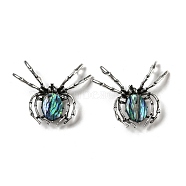 Dual-use Items Alloy Spider Brooch, with Natural Paua Shell, Antique Silver, Colorful, 46x54x12mm, Hole: 4x3.5mm(JEWB-C026-06K-AS)
