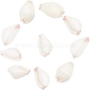 Natural Cowrie Shell Beads, Undrilled/No Hole Beads, White, 24~32x14~20x13~16mm, 10pcs/box(SSHEL-NB0001-09)