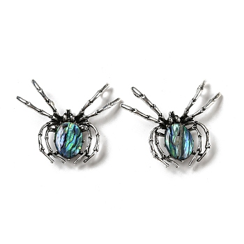 Dual-use Items Alloy Spider Brooch, with Natural Paua Shell, Antique Silver, Colorful, 46x54x12mm, Hole: 4x3.5mm