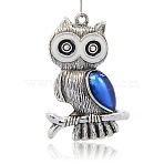Antique Silver Tone Alloy Enamel Bird Pendants, Owl Big Pendants for Halloween, Royal Blue, 55x25x6mm, Hole: 3mm(ENAM-J487-03AS)