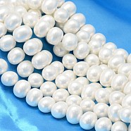 Oval Shell Pearl Bead Strands, White, 19x16x14mm, Hole: 1.5mm, about 25pcs/strand, 15.74 inch(BSHE-L013-L-A013A)