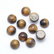 Natural Tiger Eye Cabochons, Half Round, 6x3~3.5mm(G-P393-R26-6mm)