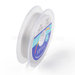 Tiger Tail Beading Wire, 7-Strand Bead Stringing Wire, Nylon Coated Stainless Steel Wire, Silver, 28 Gauge, 0.3mm, about 32.8 Feet(10m)/roll(TWIR-R007-0.3mm-02)