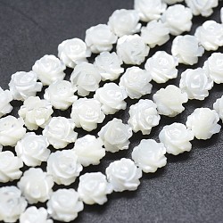 Natural White Shell Beads Strands, Mother of Pearl Shell Beads, Double-sided Rose, WhiteSmoke, 6~6.5x3~4.5mm, Hole: 0.8mm, about 60pcs/strand, 14.17 inch(36cm)(SSHEL-P015-01A-6mm)