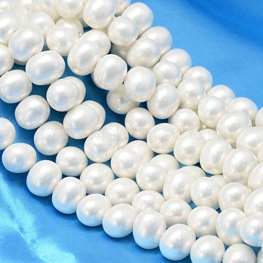 19mm White Oval Shell Pearl Beads