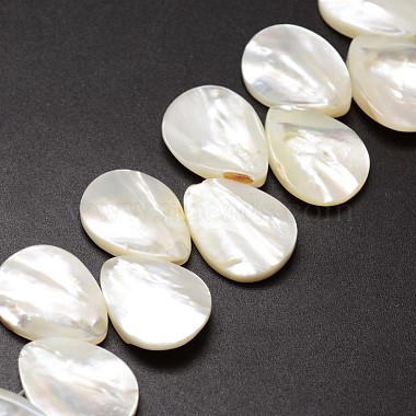Chapelets de perles de coquille de trochid / trochus coquille(SSHEL-K009-08)-3