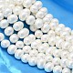 Oval Shell Pearl Bead Strands(BSHE-L013-L-A013A)-1