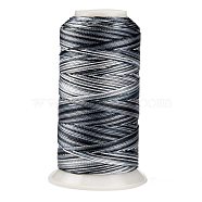 Segment Dyed Round Polyester Sewing Thread, for Hand & Machine Sewing, Tassel Embroidery, Gray, 12-Ply, 0.8mm, about 300m/roll(OCOR-Z001-B-20)