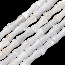 Natural Freshwater Shell Beads Strands, Bamboo Stick, White, 8x4mm, Hole: 0.6mm, about 23~24pcs/strand, 7.17''~7.28''(18.2~18.5cm)(SH-CBA2978-13)