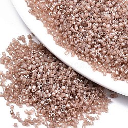 11/0 Grade A Baking Paint Glass Seed Beads, Cylinder, Uniform Seed Bead Size, Opaque Colours Luster, Dark Salmon, about 1.5x1mm, Hole: 0.5mm, about 20000pcs/bag(SEED-S030-1145)