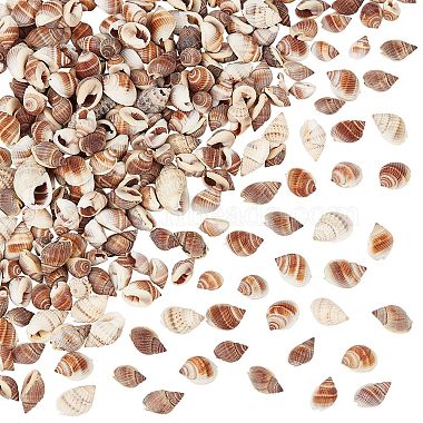 Peru Shell Shape Spiral Shell Beads