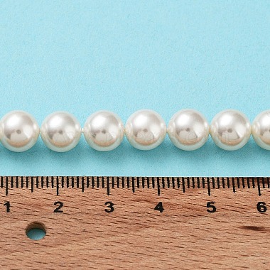 Shell Pearl Bead Strands(X-BSHE-L026-03-8mm)-8