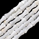 Natural Freshwater Shell Beads Strands(SH-CBA2978-13)-1